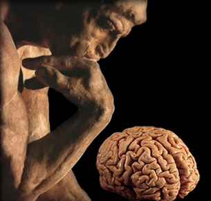brain thinker4