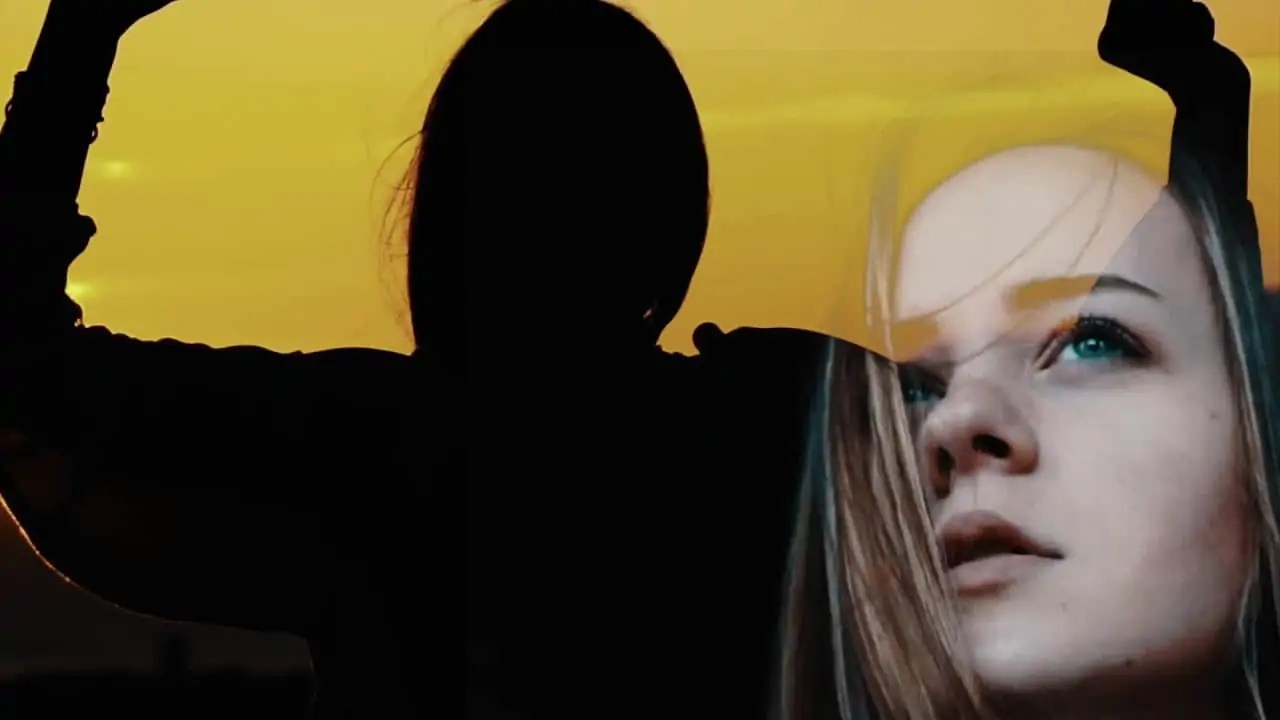 Tom Shed - Fear