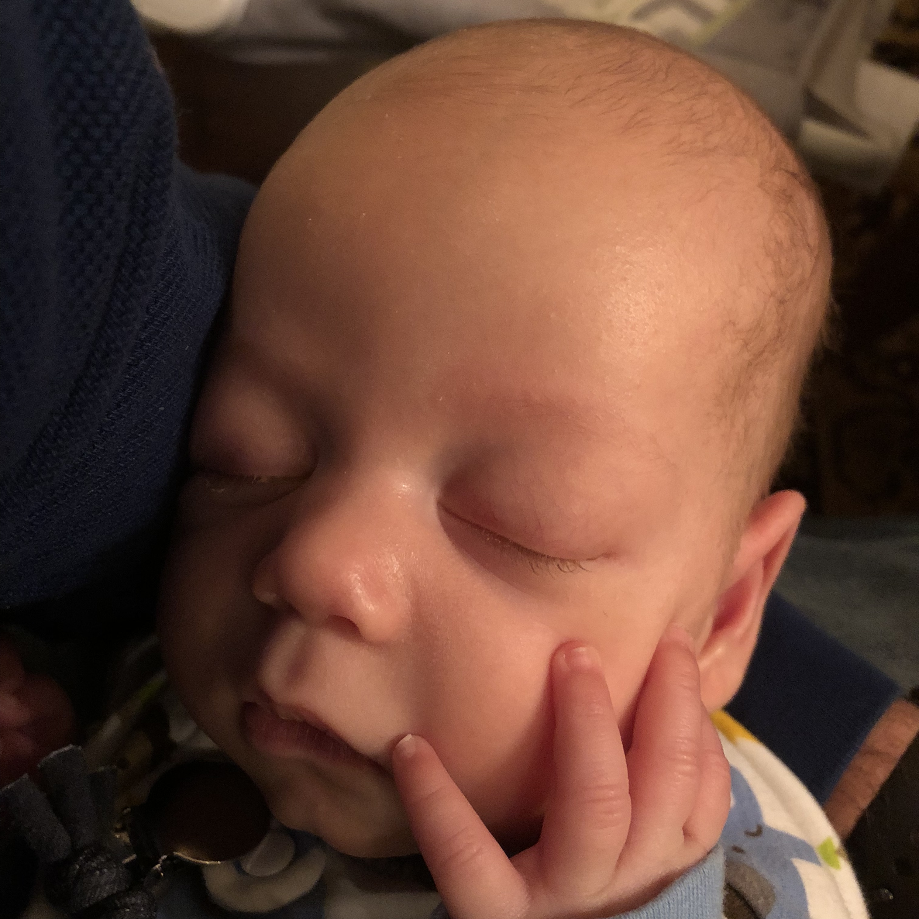 Week With Milo 7