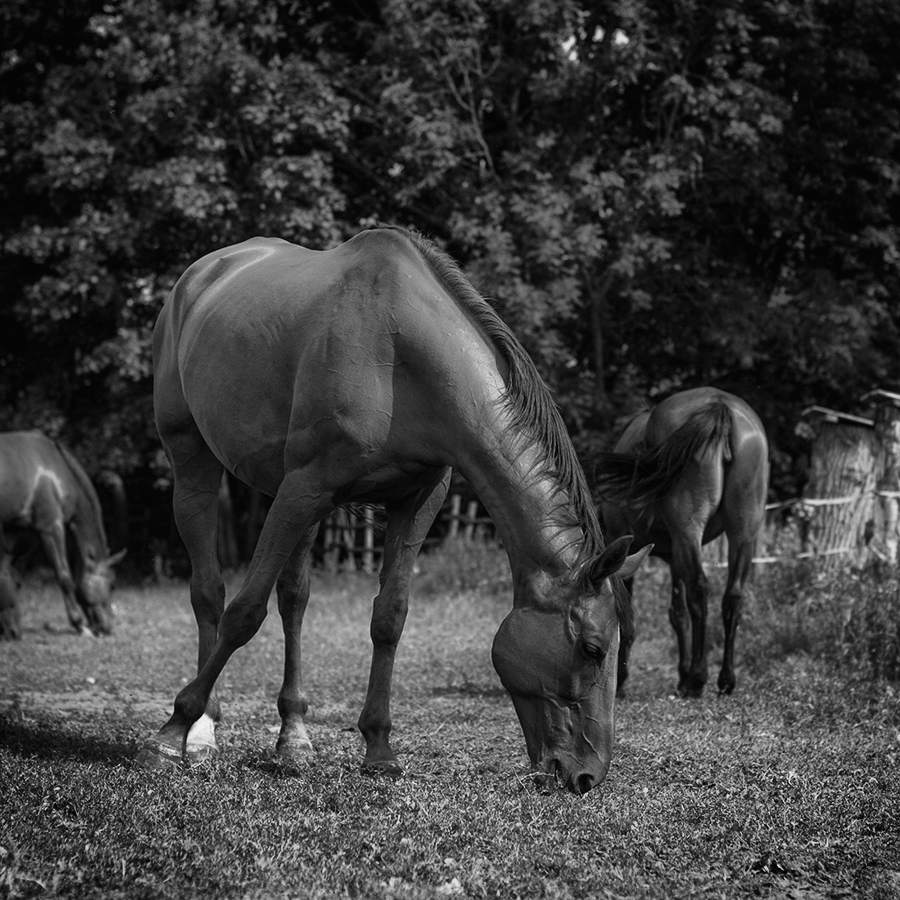 atesorando momentos_20