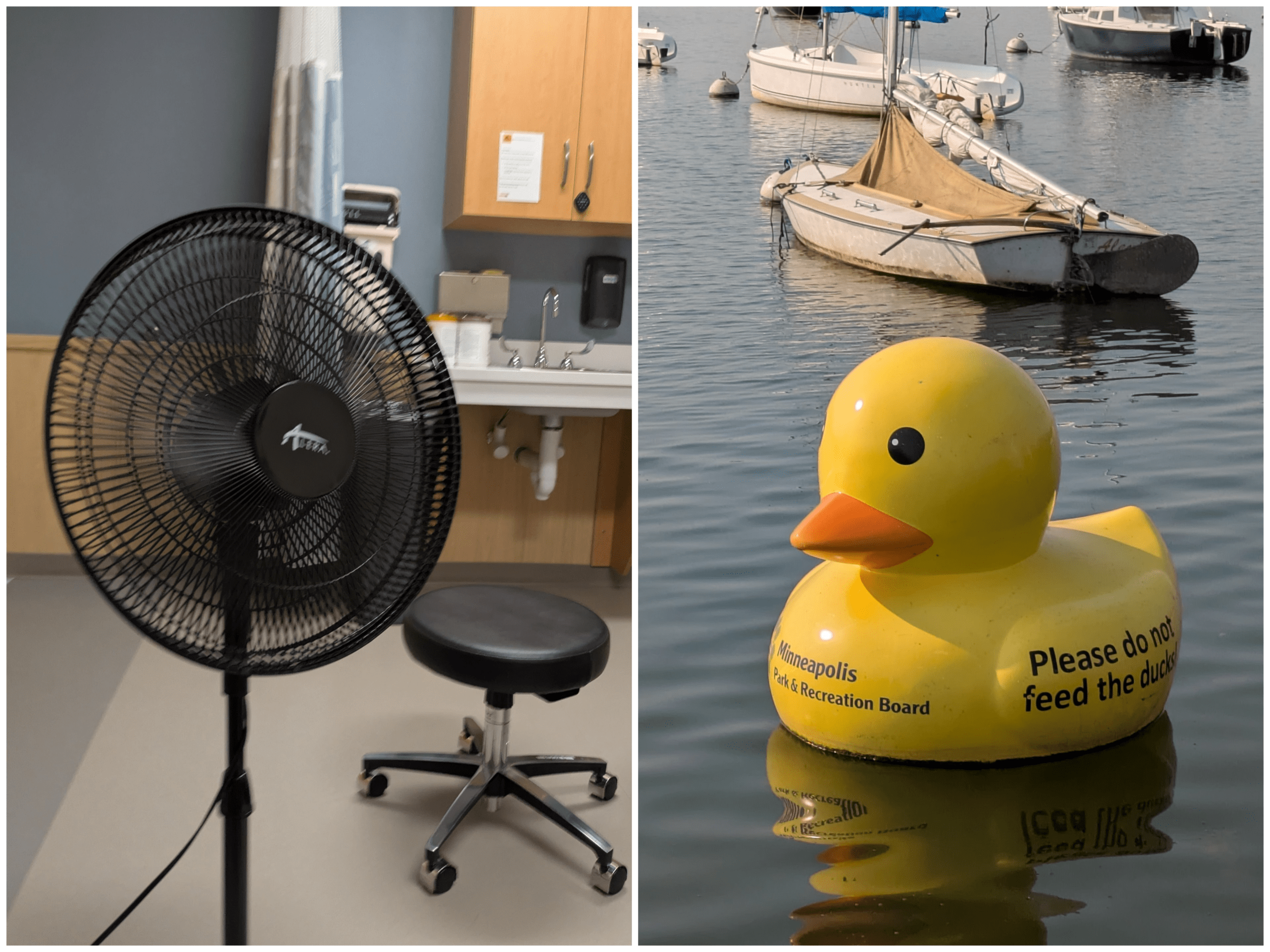 This image shows a divided view, with a fan, a wheeled stool, and a sink inside a room on one side, and a large yellow rubber duck floating among sailboats on the other.