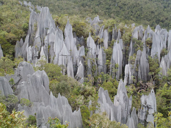 Pinnacles