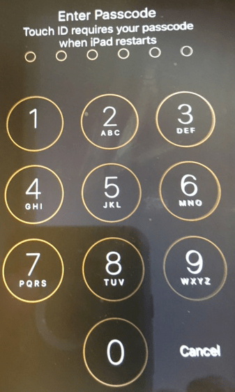 Passcode Entry Screen Apple vs FBI