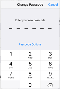 Passcode Options Link Apple vs FBI