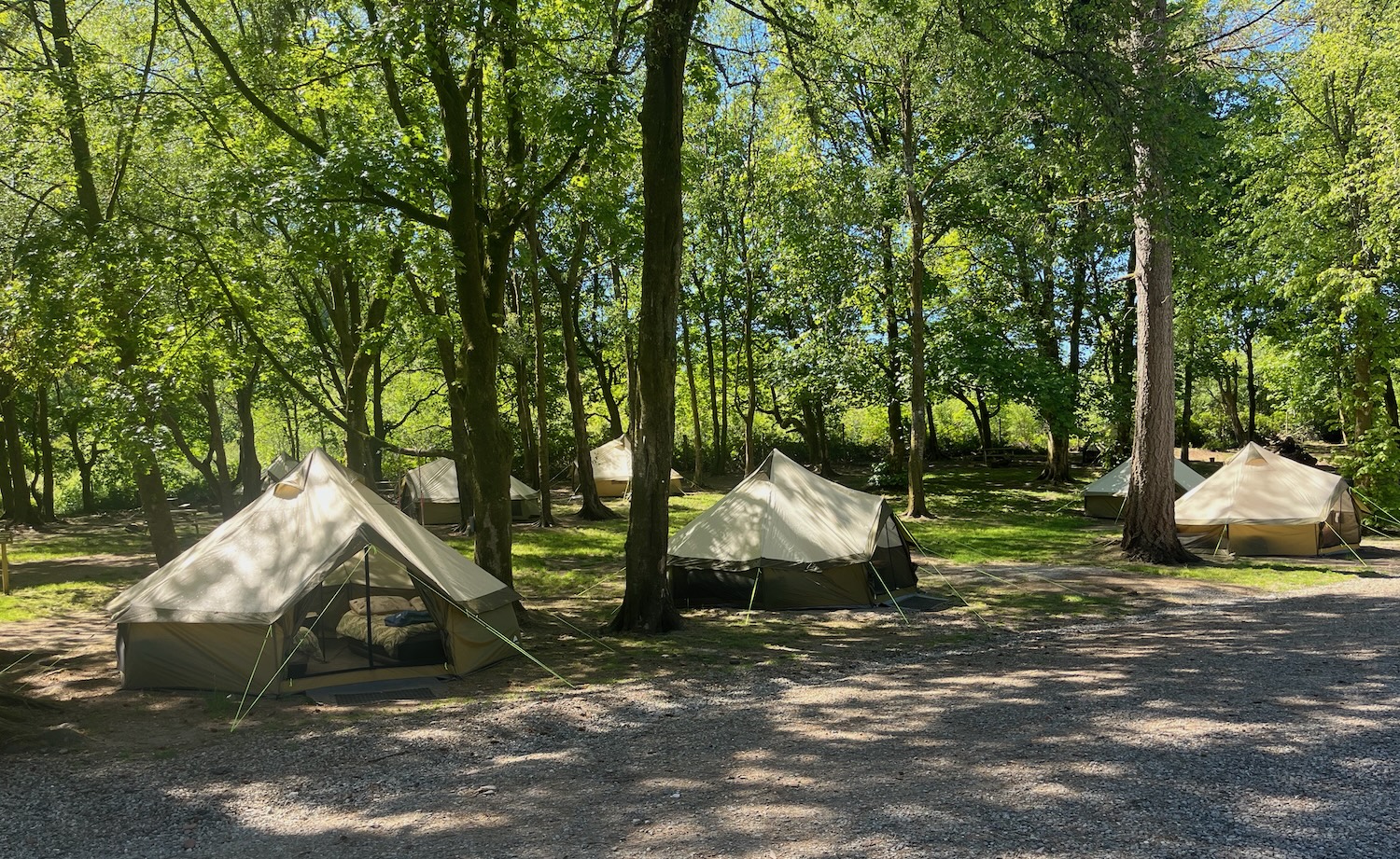 IMG_6518