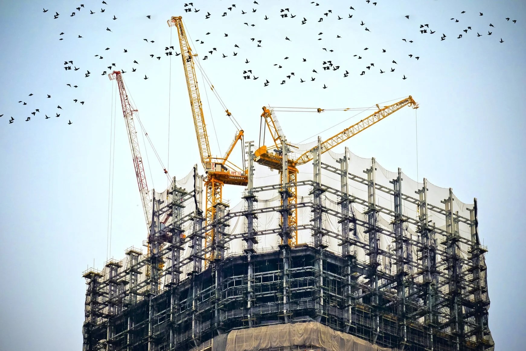 Cranes on top of a high-rise under construction, with a flock of birds overhead