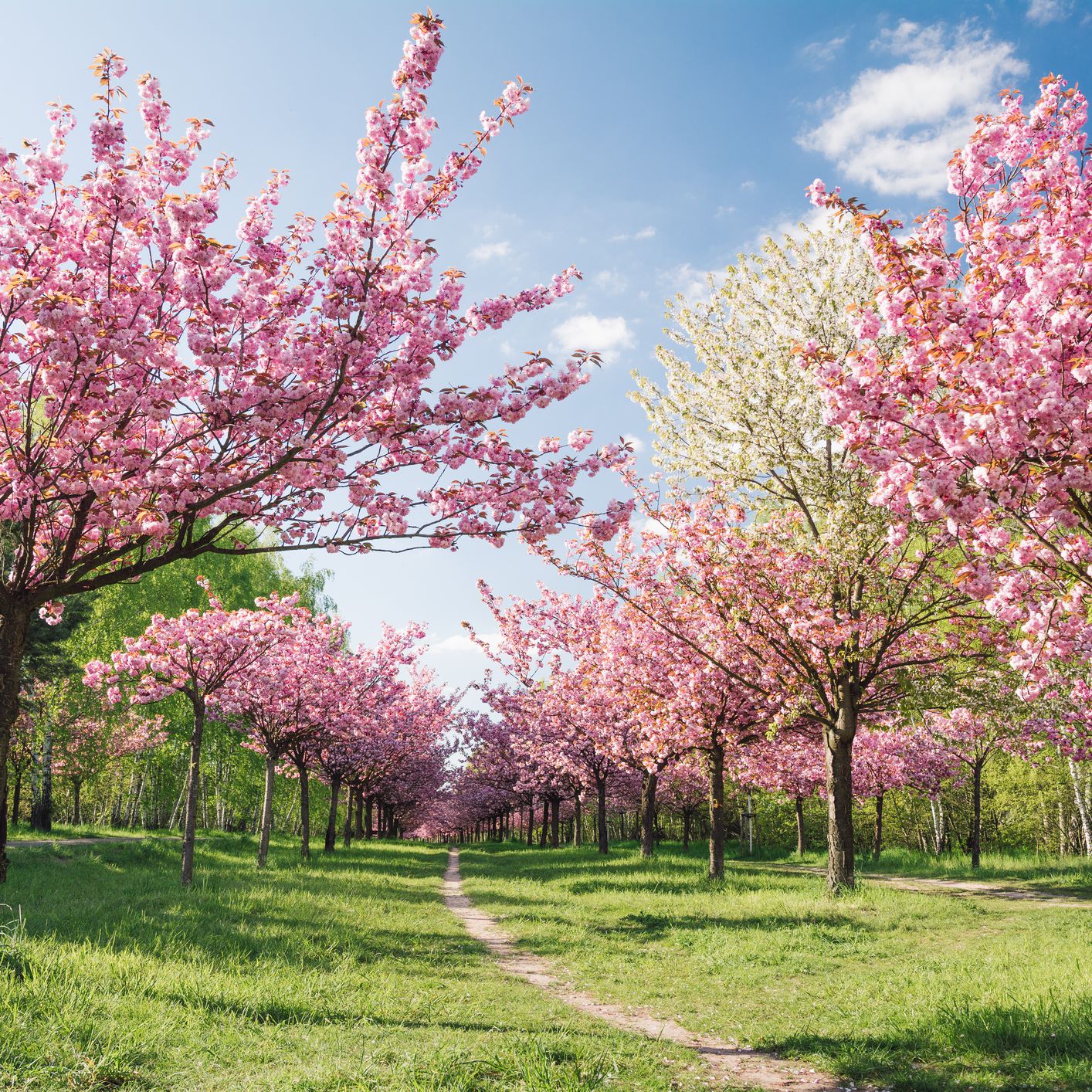 The Seasons of Parenting, Teaching, and Leading