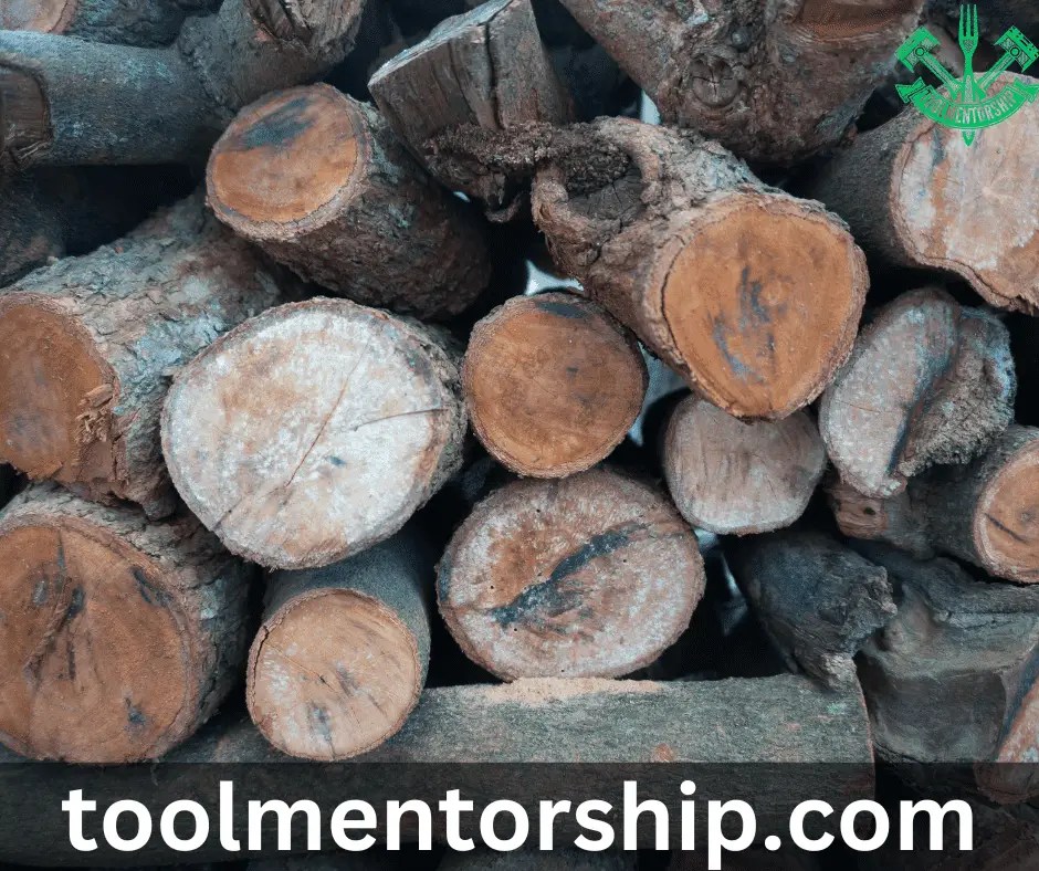 is cottonwood good for firewood