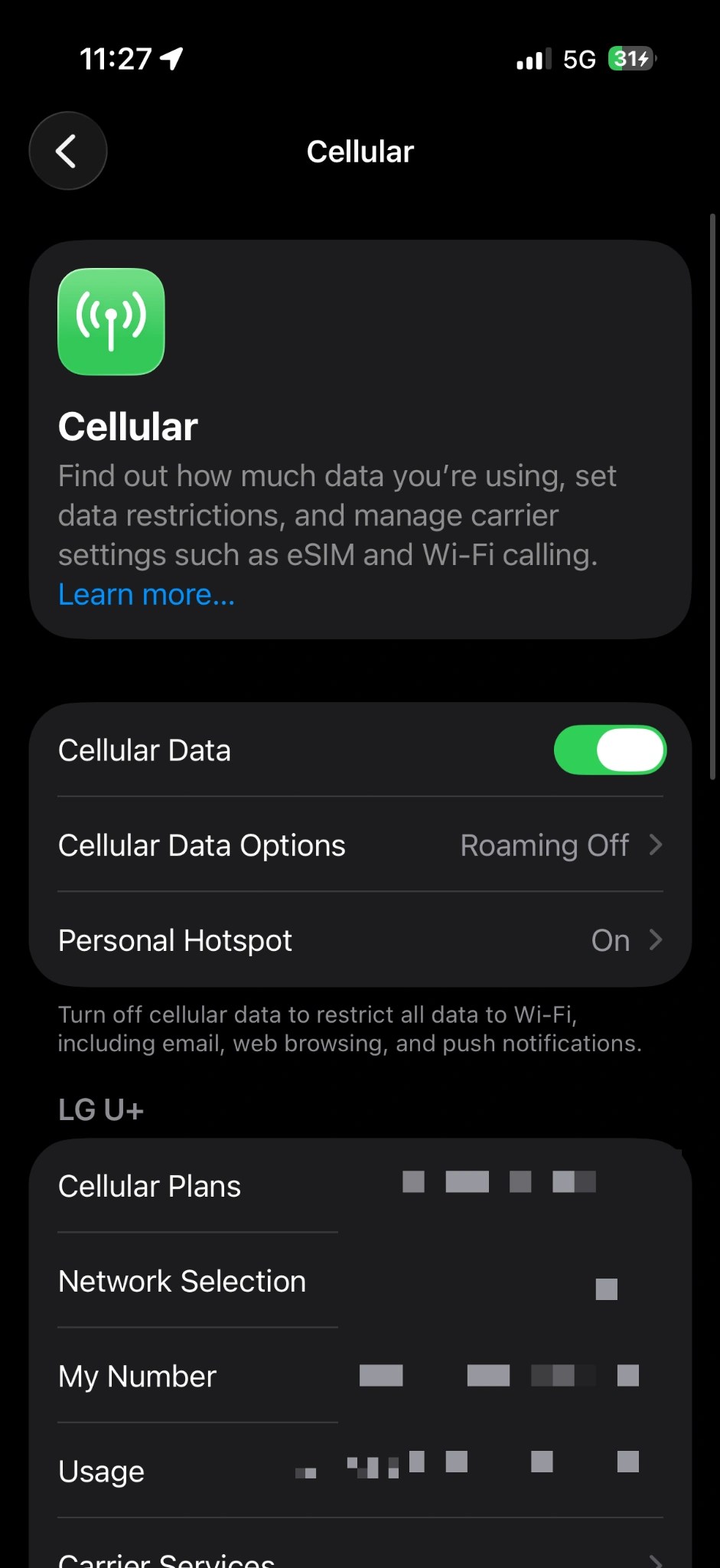 English iPhone Cellular settings showing Cellular Data and the selected line