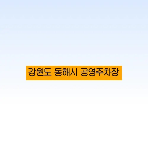 강원도 동해시 공영주차장