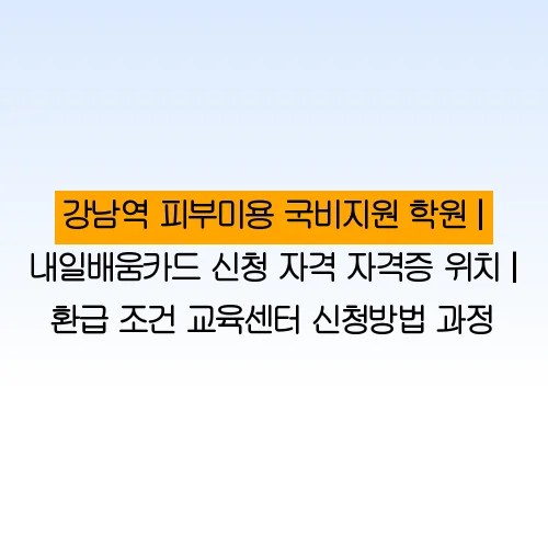 강남역 피부미용 국비지원 학원 | 내일배움카드 신청 자격 자격증 위치 | 환급 조건 교육센터 신청방법 과정