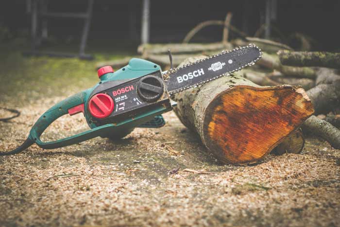 Best Gas Chainsaw for the Money 2024: Reviews + Buying Guide