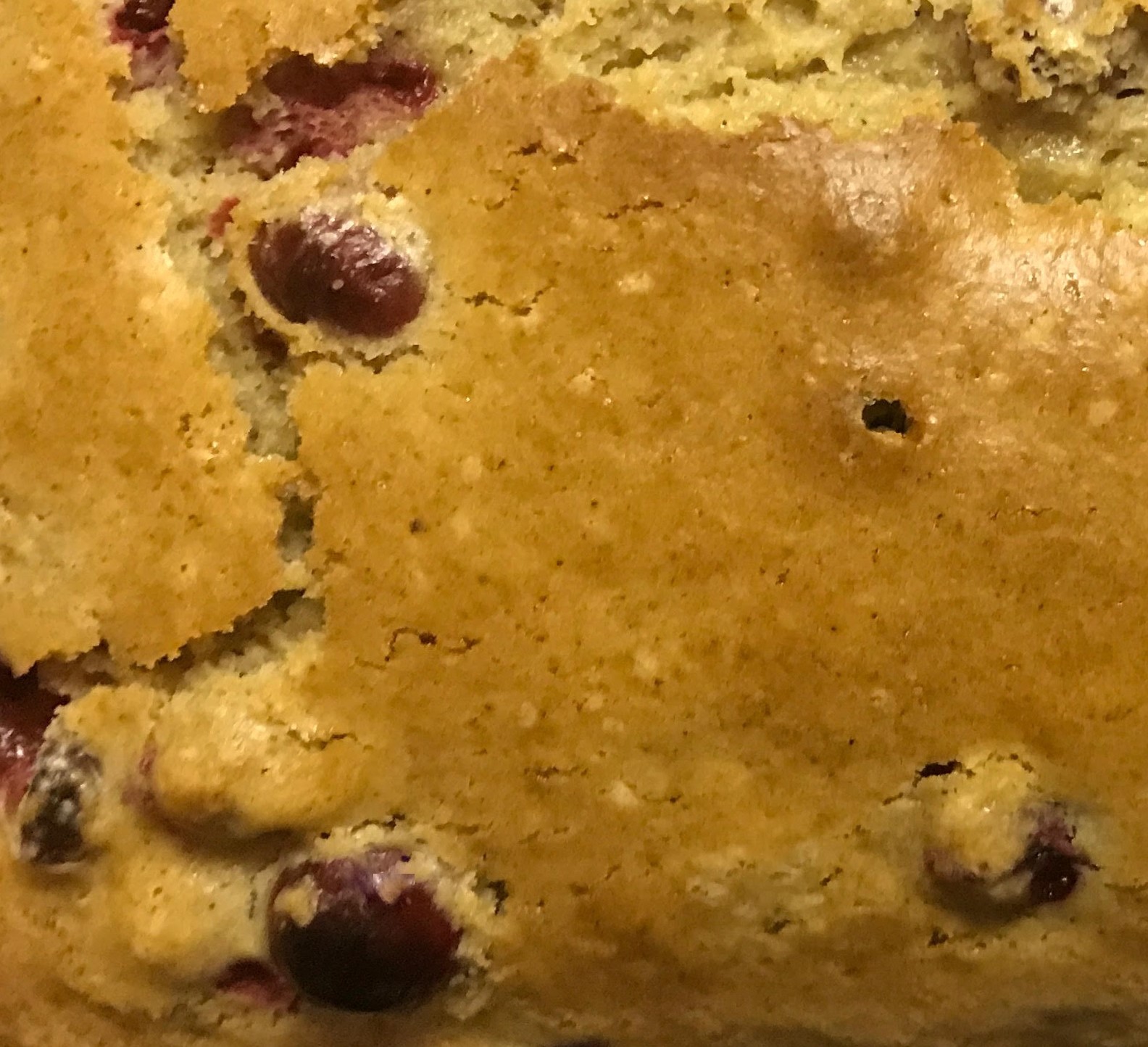 Cranberry Fruit-Nut Bread