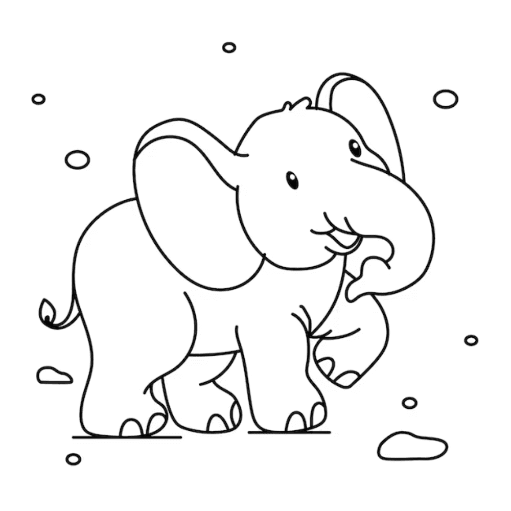 Elephant coloring book