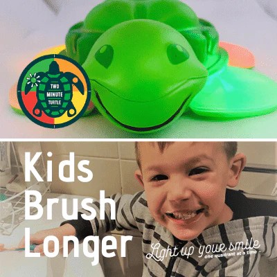 Kids Toothbrush Timer Two Minute Turtle Timer Toothbrushtimer Com - Download Artistic Nature Image | Full HD