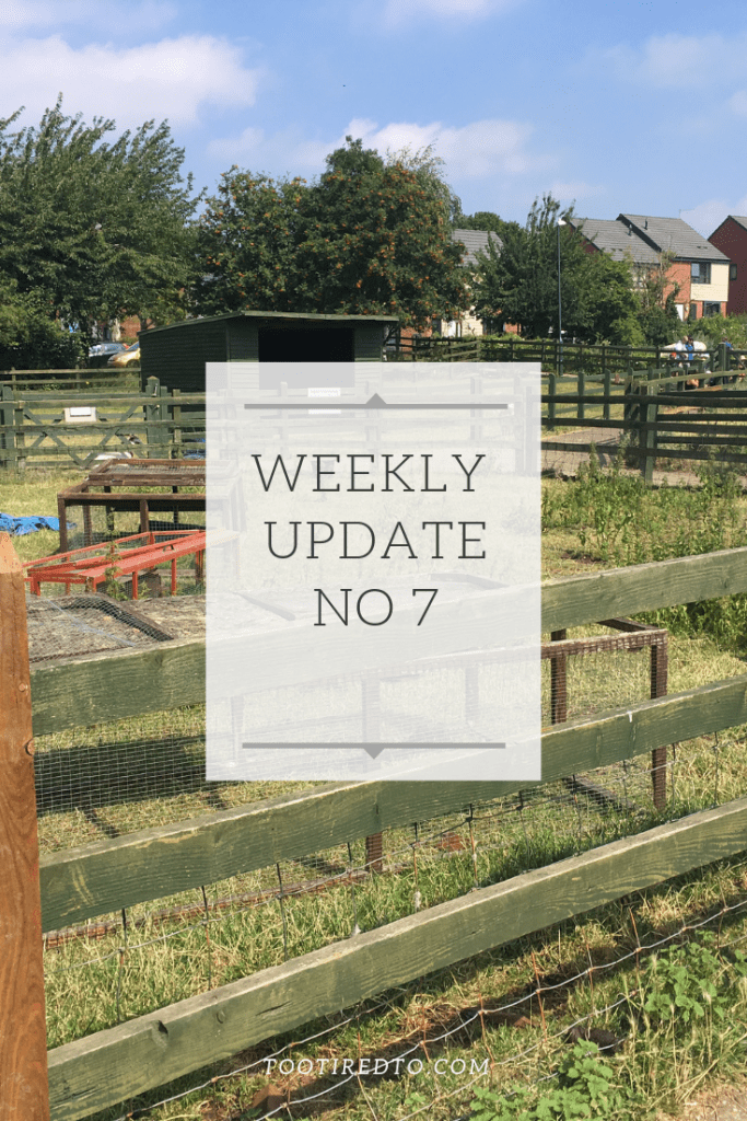 Weekly Update 7 header image