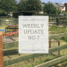 Weekly Update 7 header image