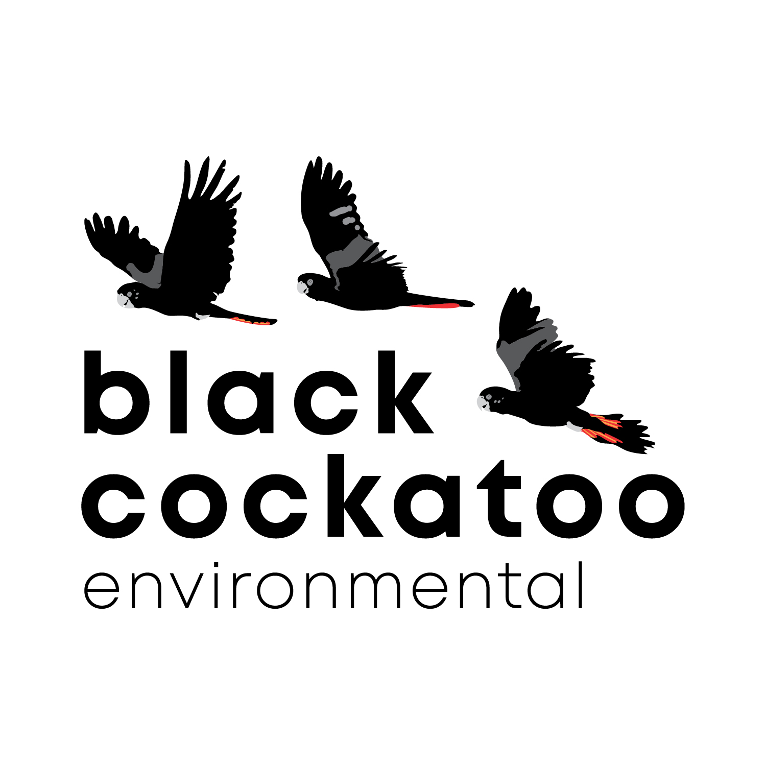 Black Cockatoo Environmental Logo
