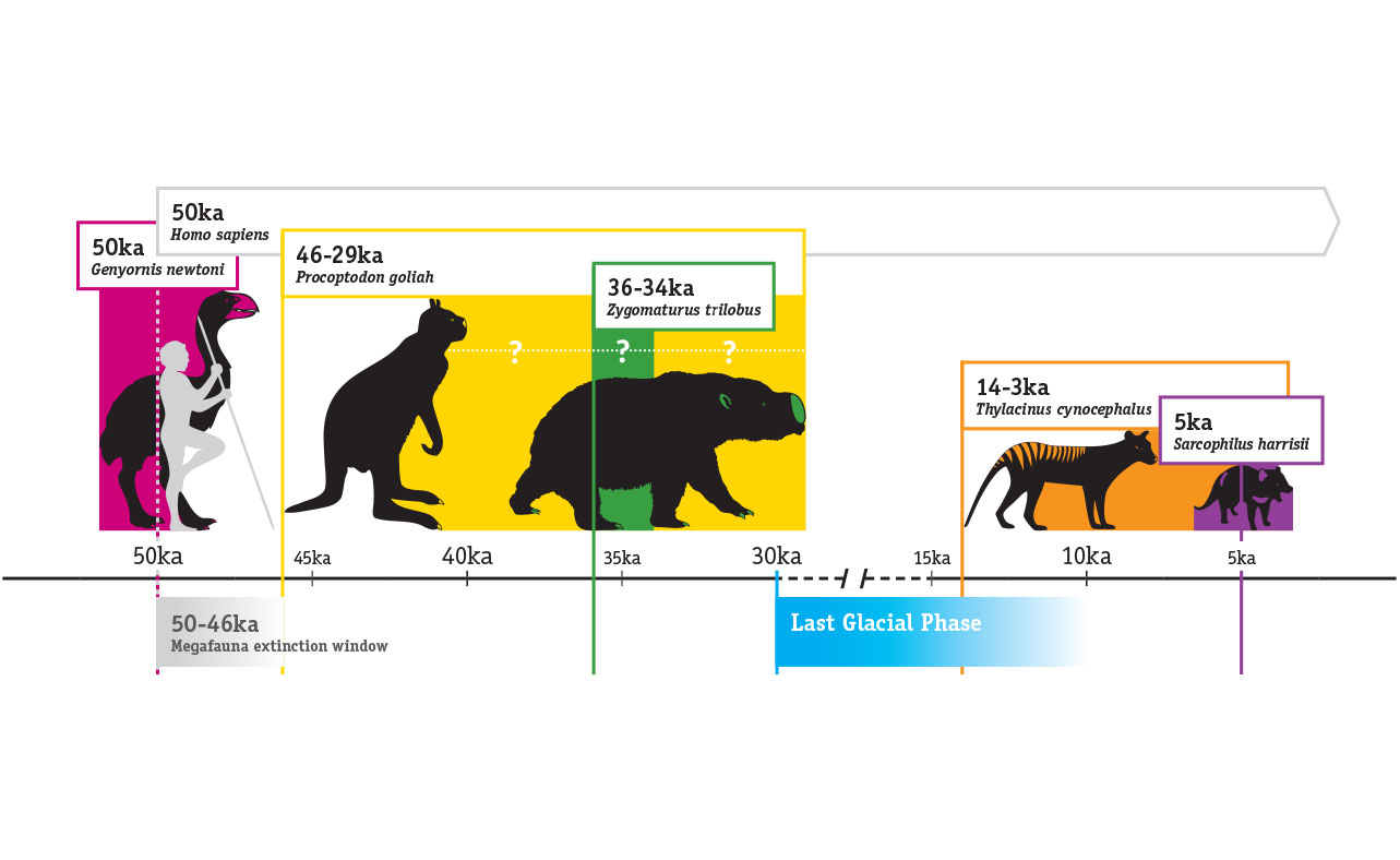 Megaflora Extinct Megafauna-Extinction-Sequence – Toot Toot Design