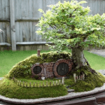 Miniature Trees – Bonsai Trees