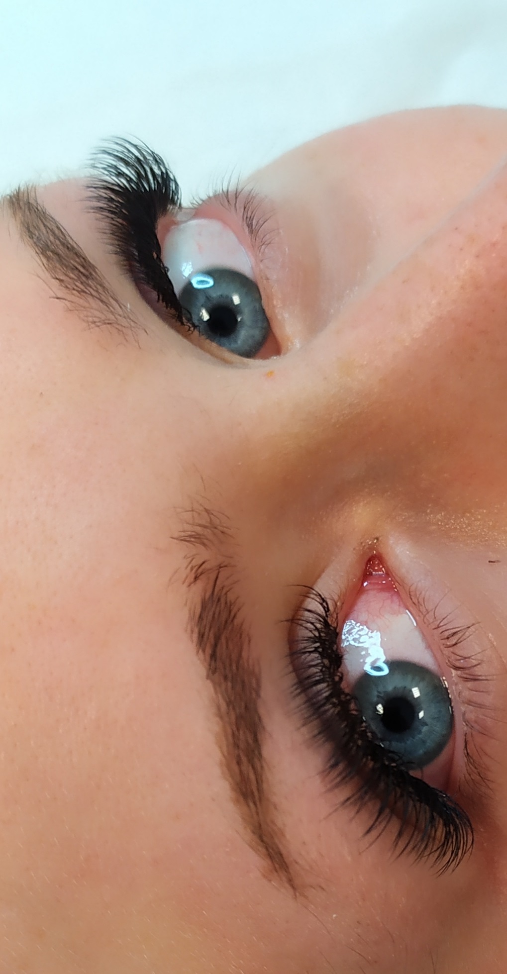 Top-lashes gießen: professionelle wimpernverlängerung & beauty