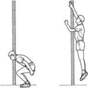 Vertical jump