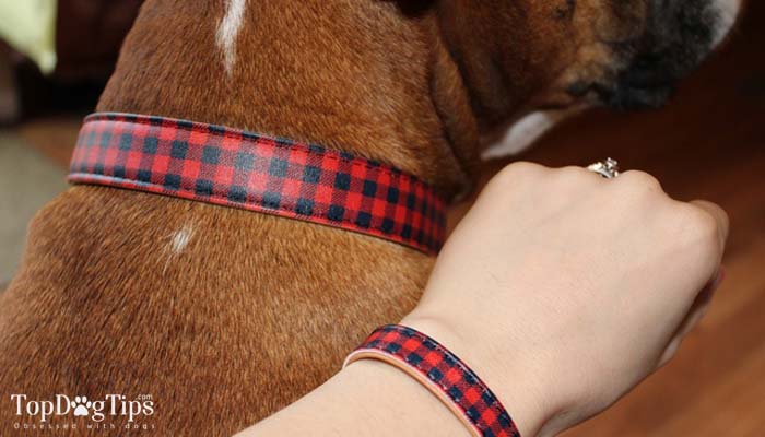 friendship collar