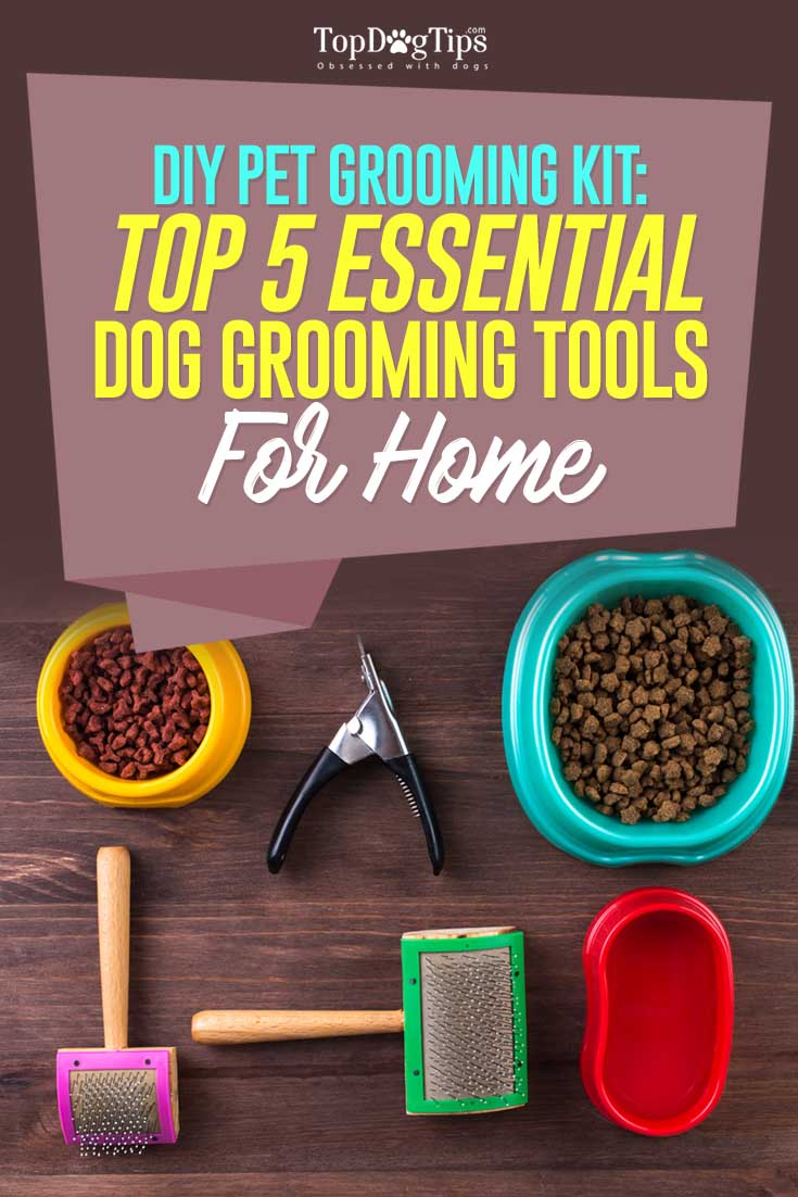 best pet grooming tools