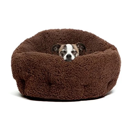 budget dog beds