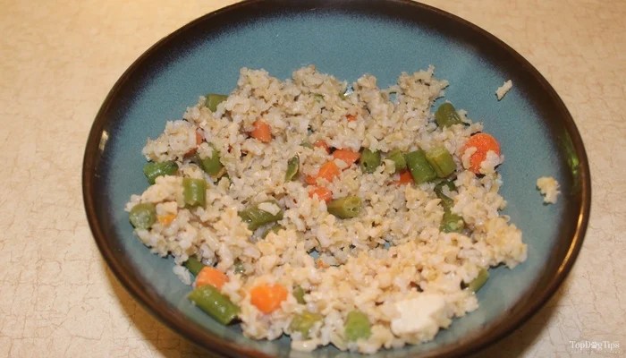 dog rice chicken