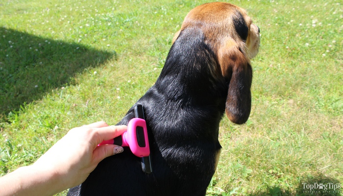 dakpets deshedding tool