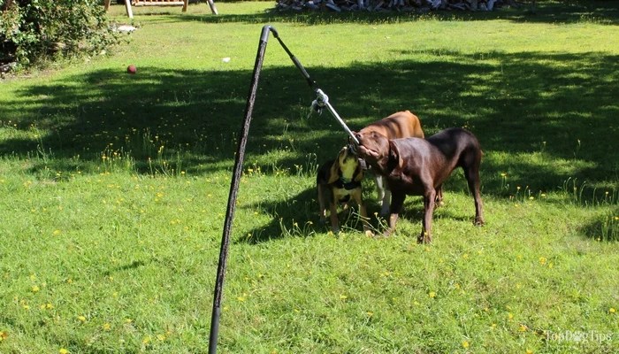 tether tug installation