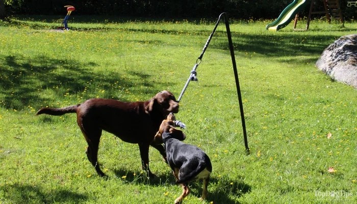 tether tug installation