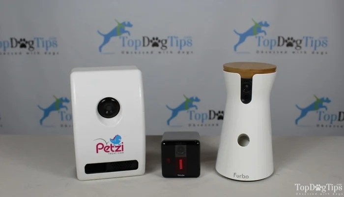 petzi dog camera