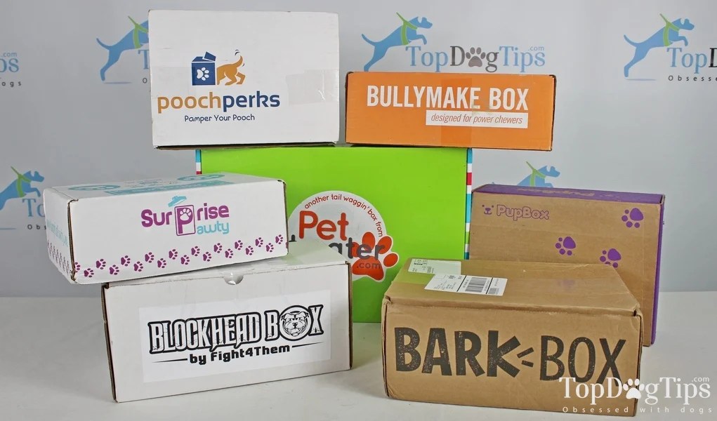 dog subscription box cheap