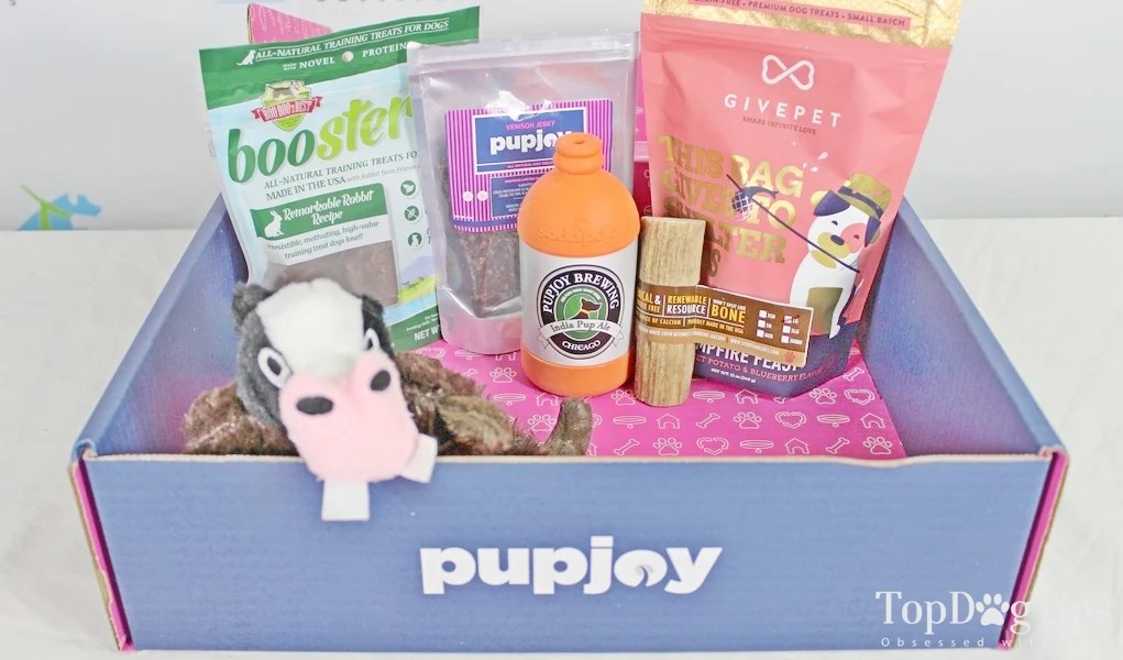 cheap dog subscription box