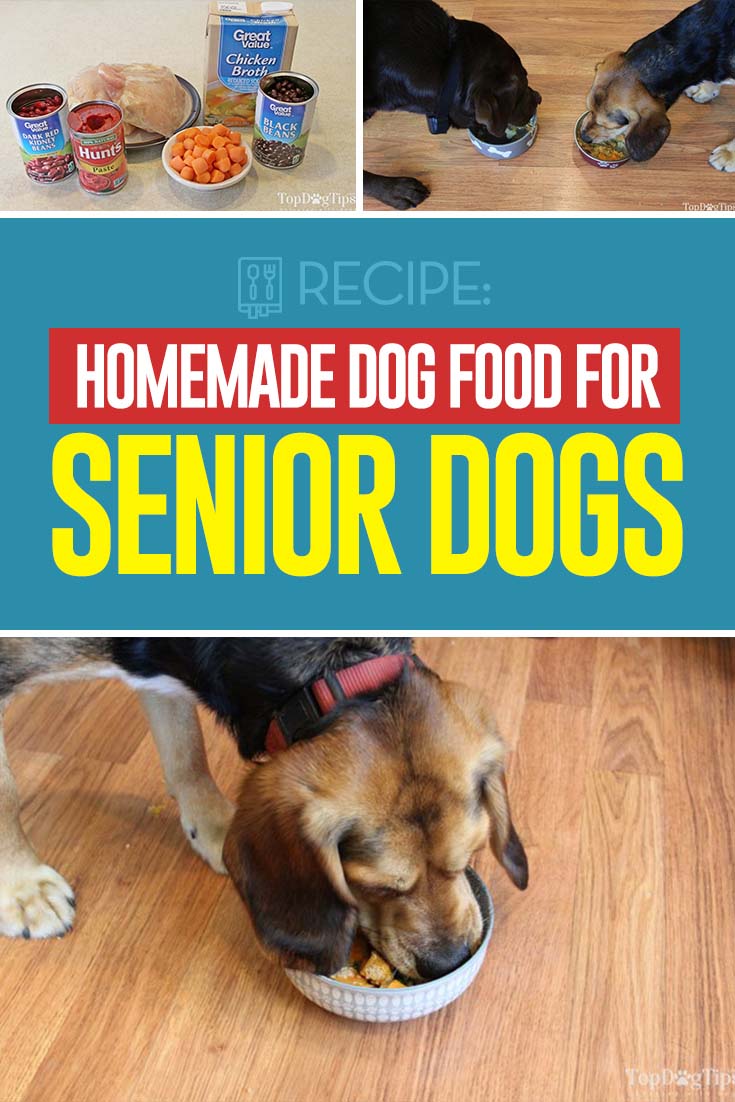 Homemade Dog Food Recipes For Small Senior Dogs