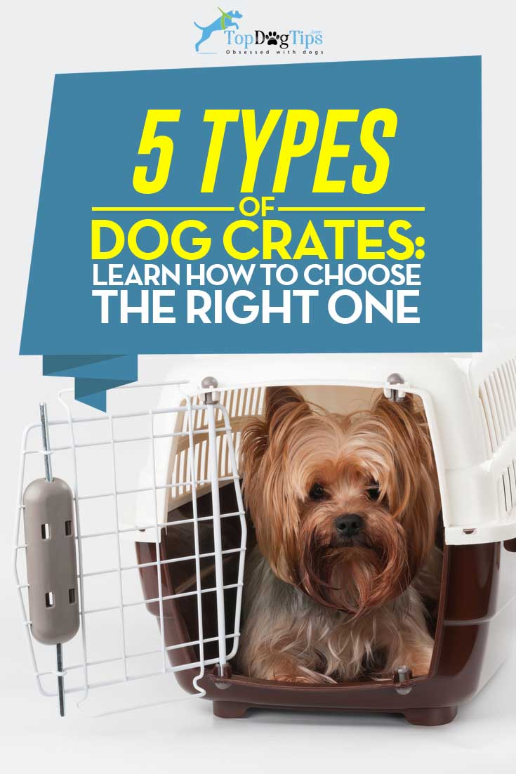 types of dog crates