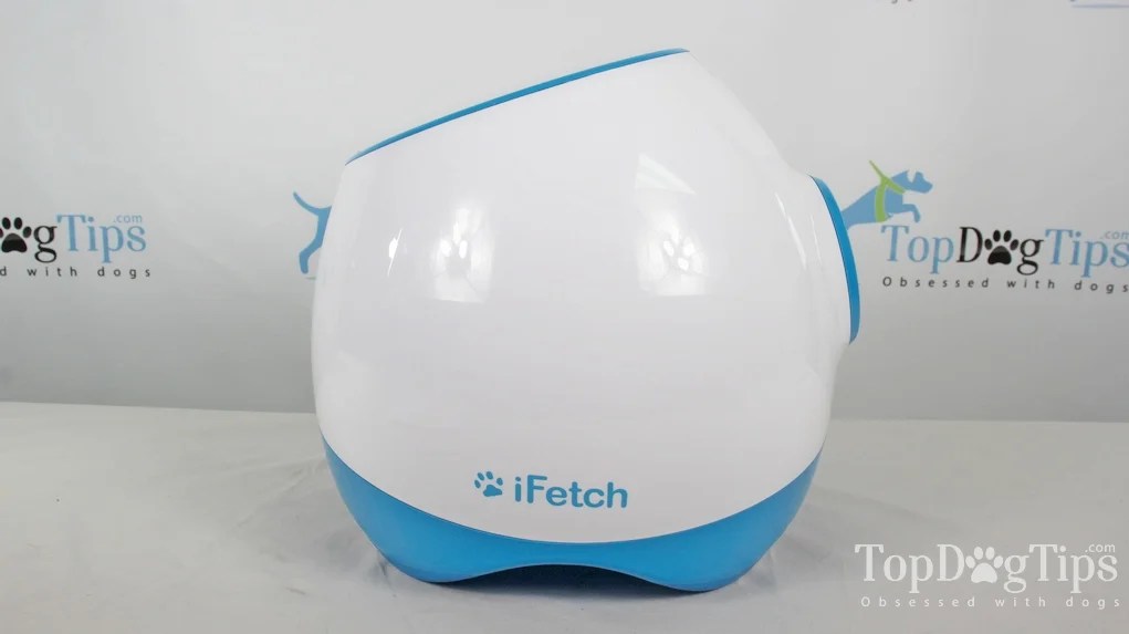 ifetch ball size