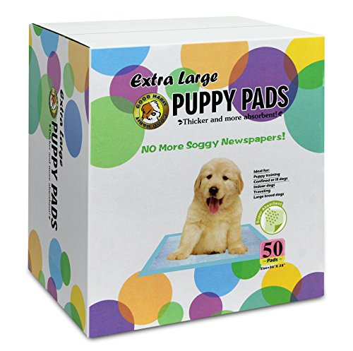 top rated puppy pads