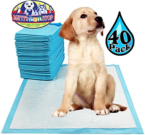 dog pee pads petsmart