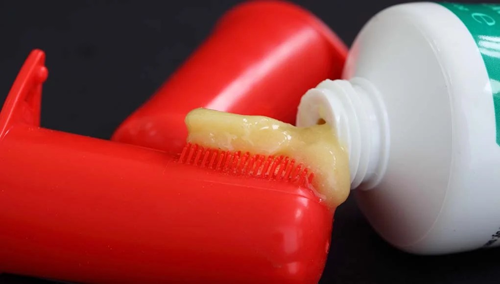 best dog toothpaste 2019