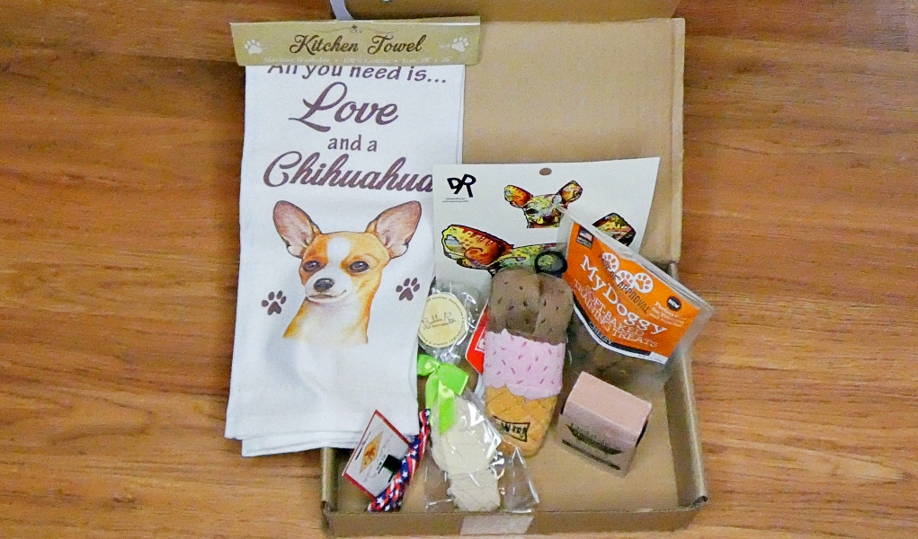 chihuahua subscription box