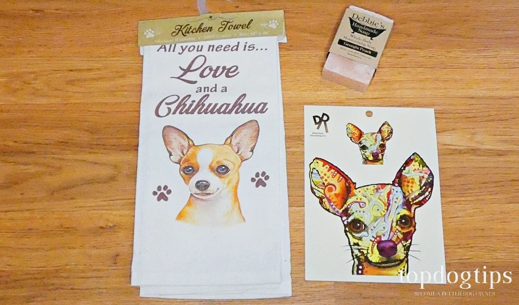 chihuahua subscription box