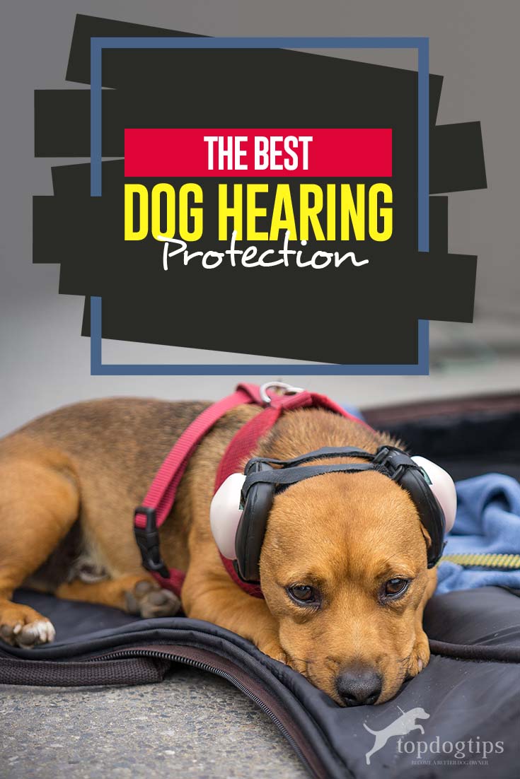 dog ear muffs for thunder