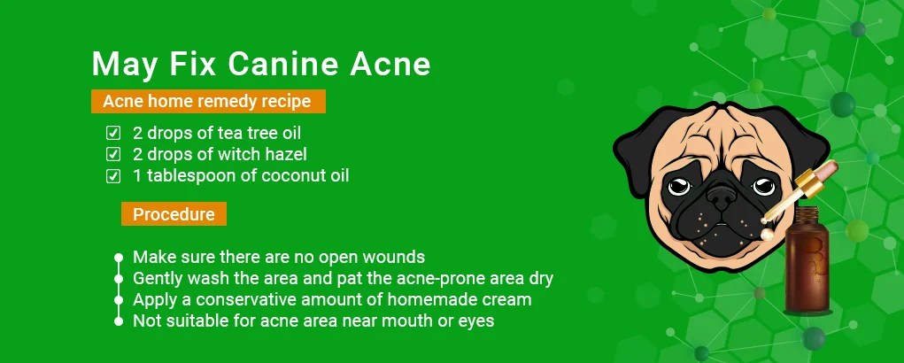 dog acne cream