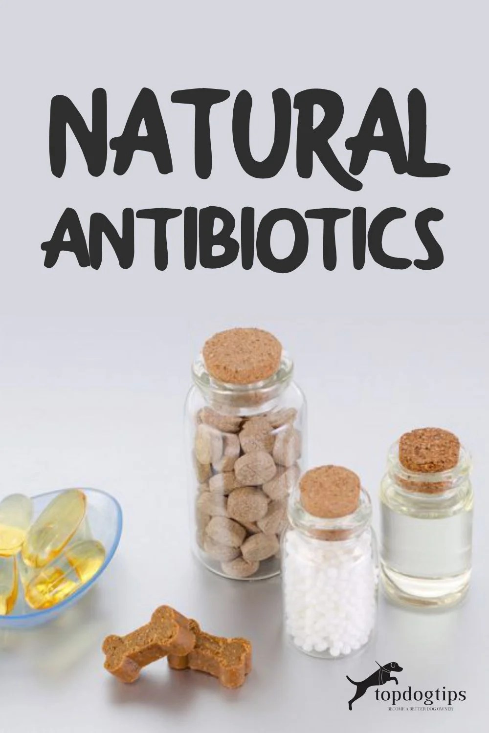 What is a natural antibiotic for dogs