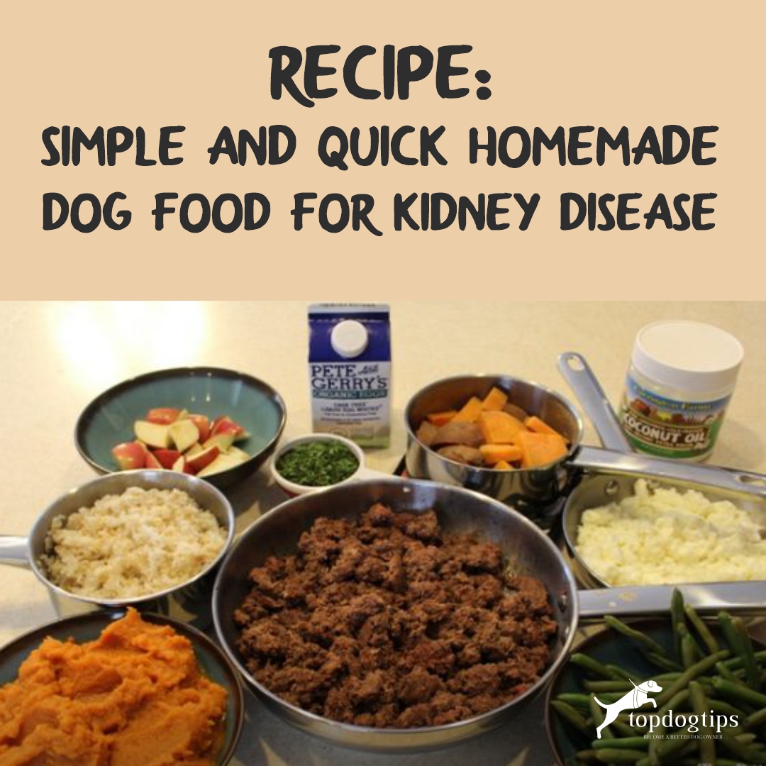Vegetables For Homemade Dog Food