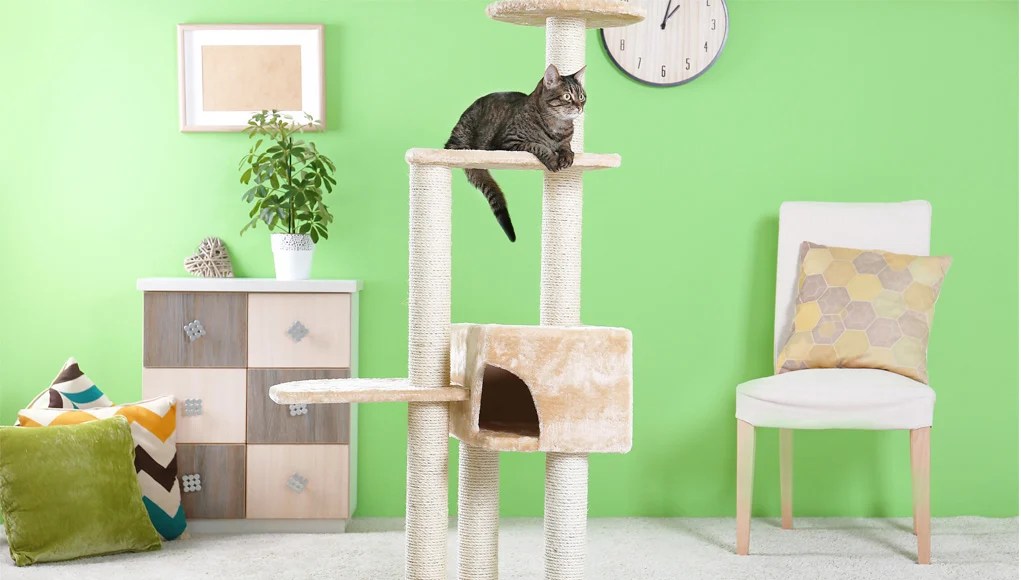 best cheap cat tree