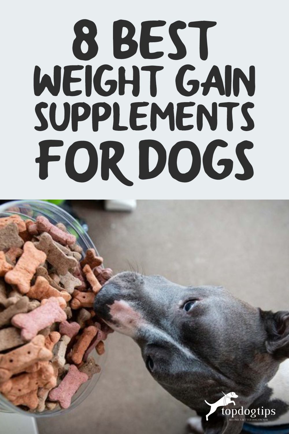 dog weight gain supplement